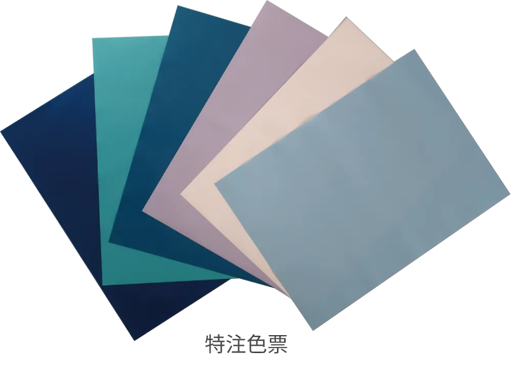 特注色票カラーチャート