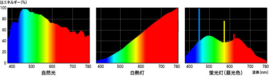 ��Ȍ����̕����G�l���M�[���z