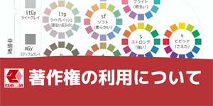 ���앨�̎g�p�ɂ���